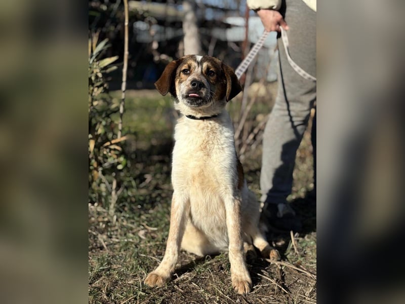 Eliot sucht seine Herzensmenschen