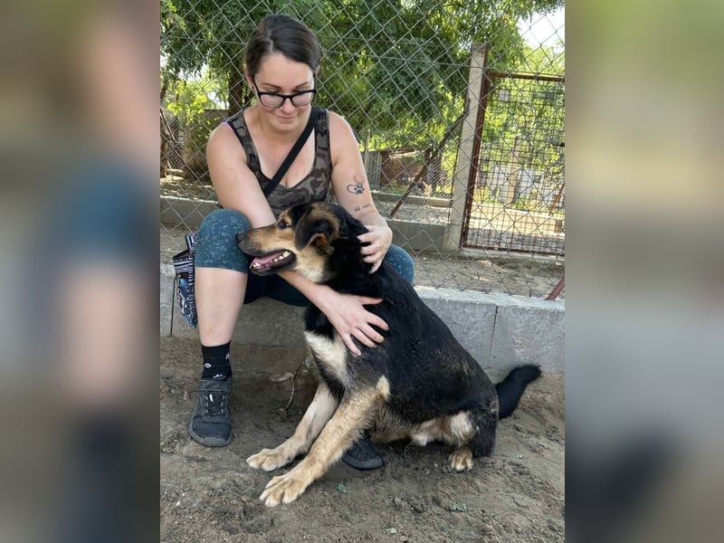 Kerubin, toller Hundemann