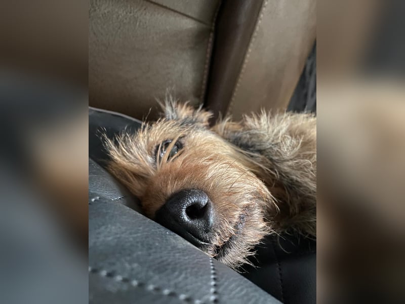 HAPPY ❤️ Name = Programm, Pflegefamilie Köln