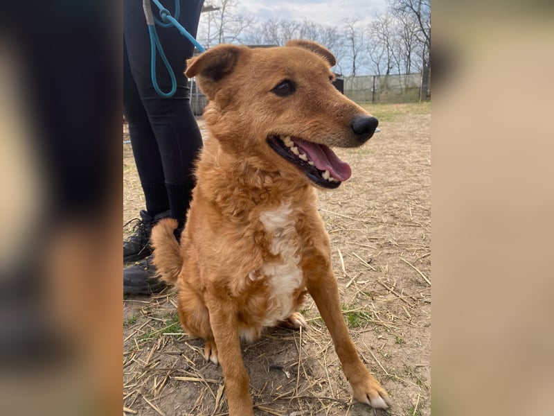 Kajla möchte endlich glücklich sein