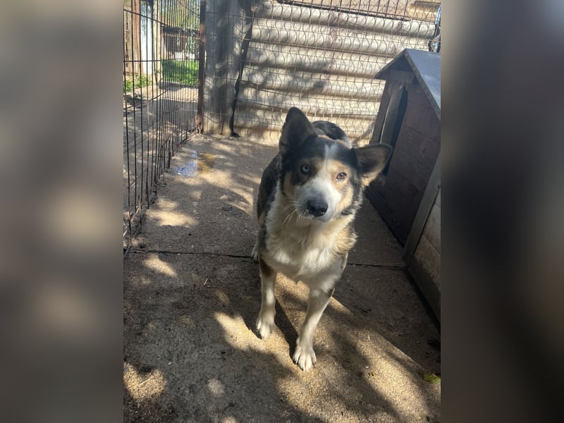 Lia - will dein Herz gewinnen!