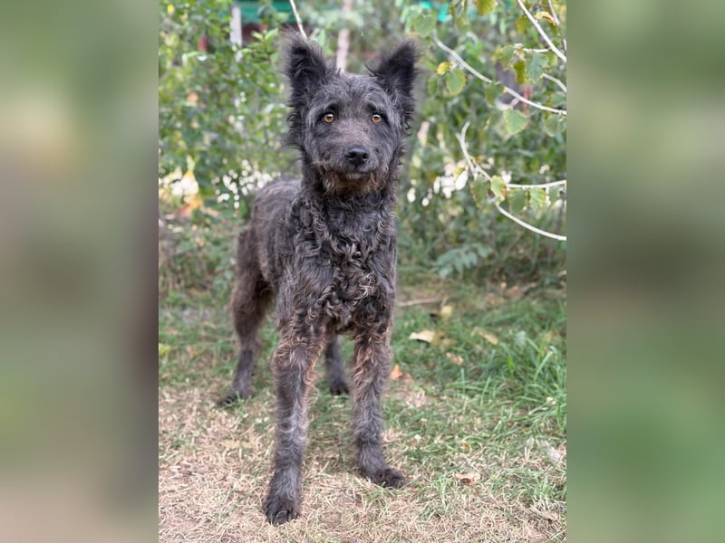 Zelmira sucht ihre Menschen