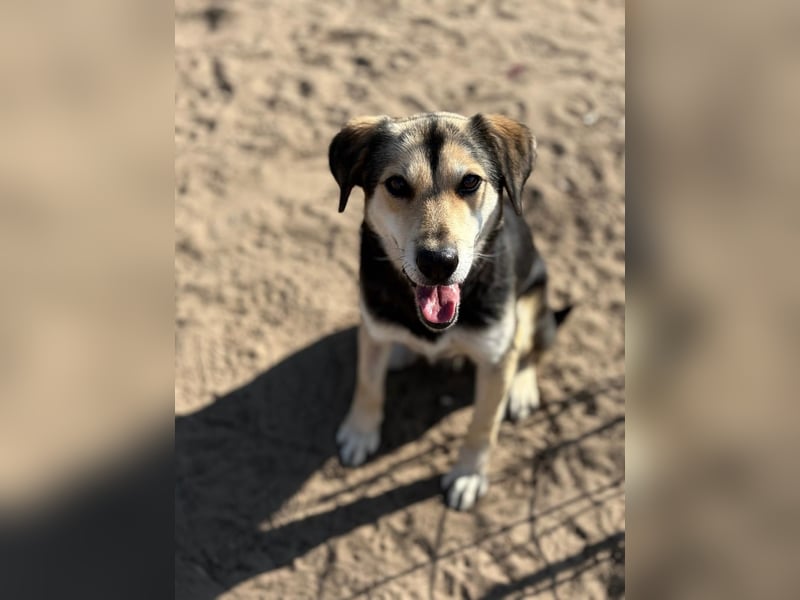 Mena träumt von einem eigenen Zuhause