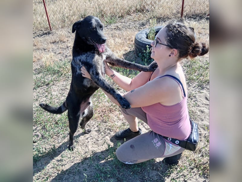 Zecco sucht einen warmen Platz