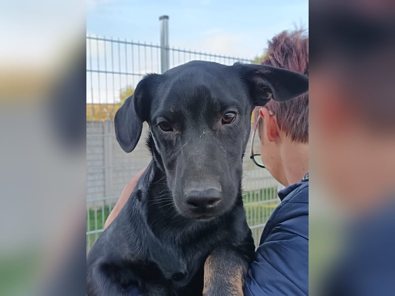 Frederico sucht einen Sportpartner