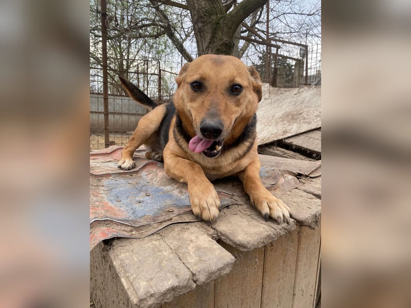 Zengö wartet auf ihr Happy End