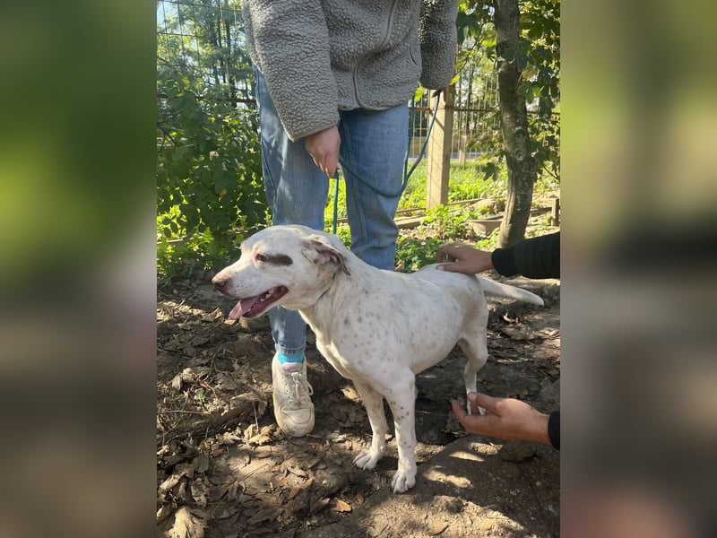 Ildike - hast du noch Platz im Herzen?