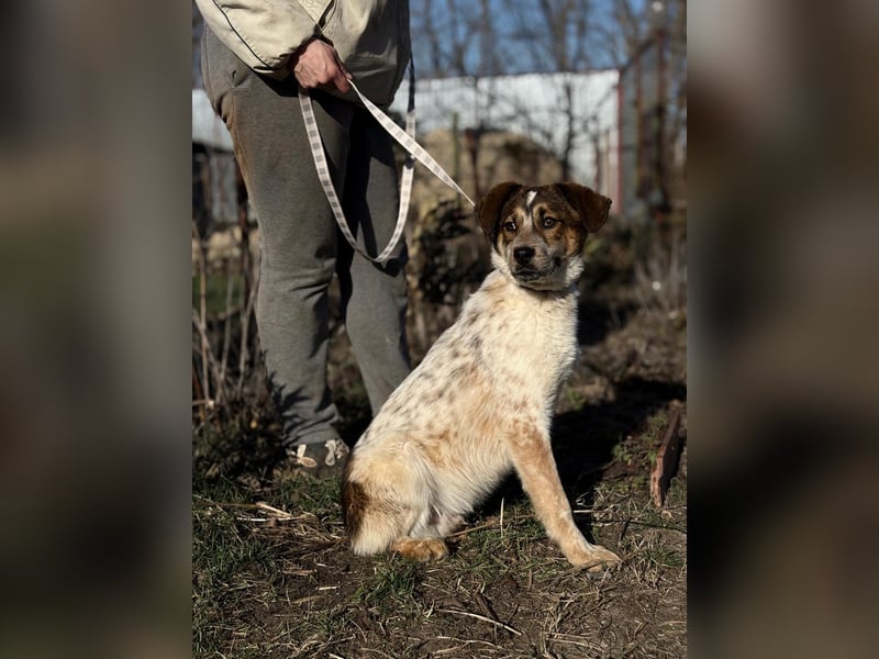 Eliot sucht seine Herzensmenschen