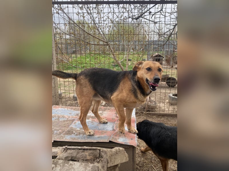 Zengö wartet auf ihr Happy End