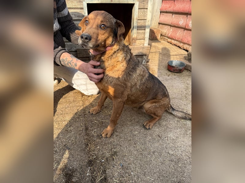 Férko möchte zeigen, was in ihm steckt