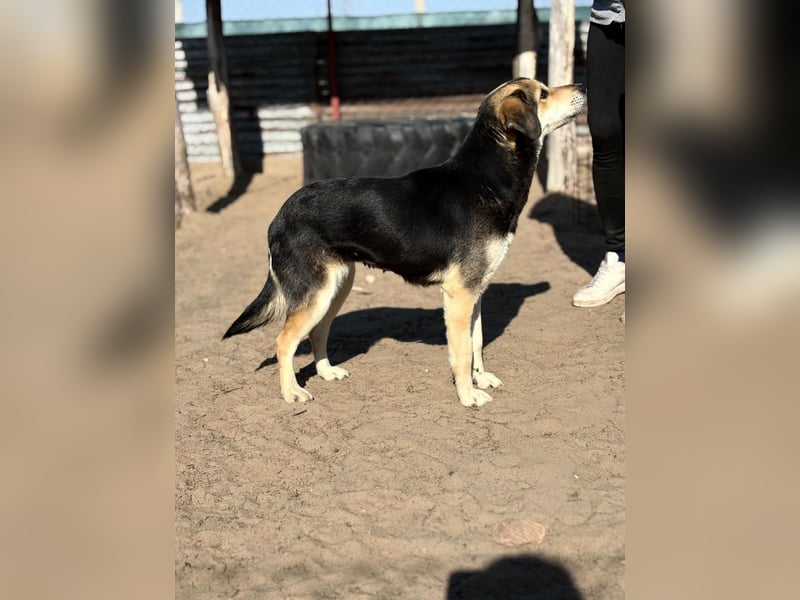 Mena träumt von einem eigenen Zuhause