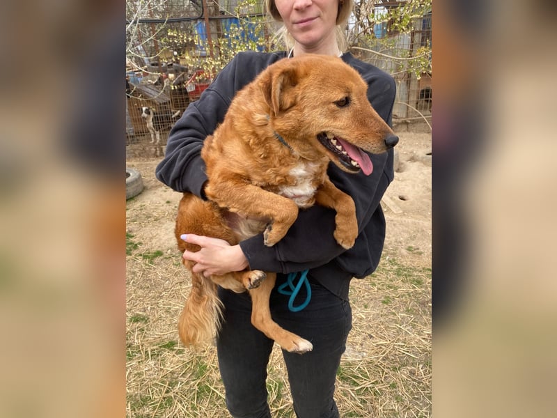 Kajla wartet auf ihr Happy End