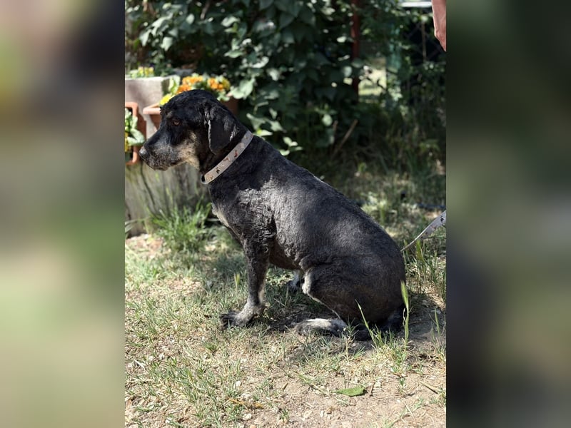 Samu hat so viel Liebe zu geben