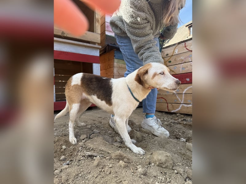 Picúr sucht ein Herz, das sie liebt