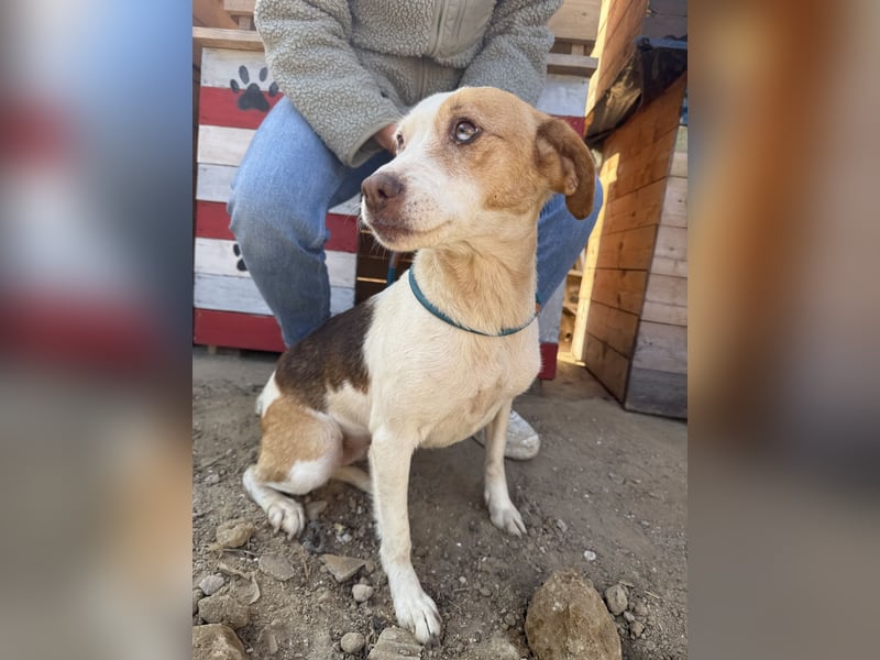 Picúr sucht ein Herz, das sie liebt