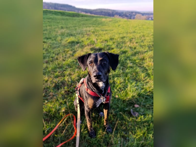 Aktive Pina wartet in 52385 Nideggen auf ihr Happy End!