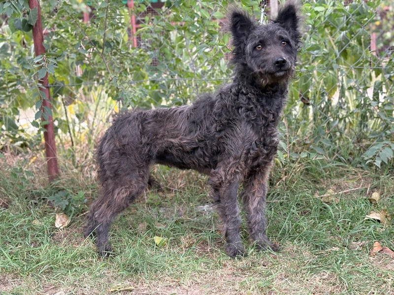 Zelmira glaubt an Ihr Wunder