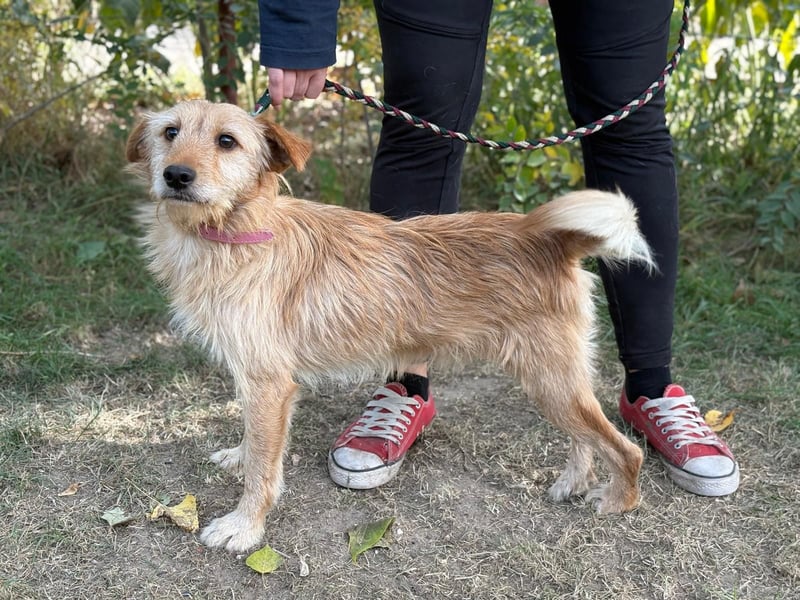 Norman möchte seinen ersten warmen Winter erleben