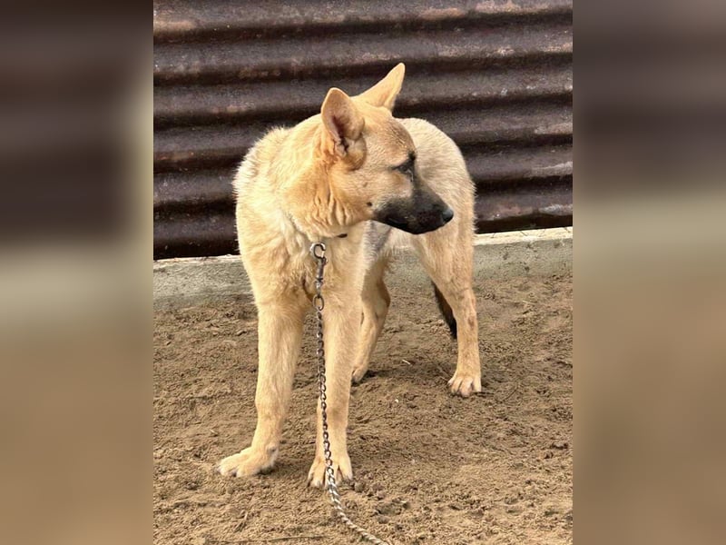 Lita träumt von einem eigenen Zuhause