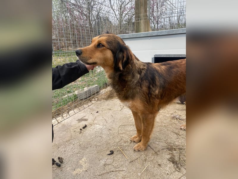 Fiona möchte endlich glücklich sein