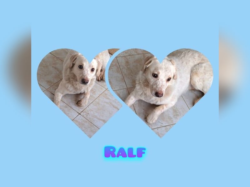 Ralf wartet seit 4 J. auf seine Ausreise aus Rumänien