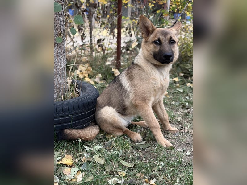 Lita träumt von einem eigenen Zuhause