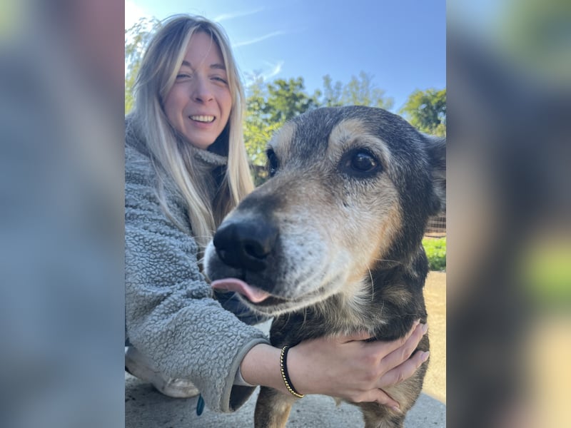 Akela möchte noch einmal Glück und Geborgenheit erleben