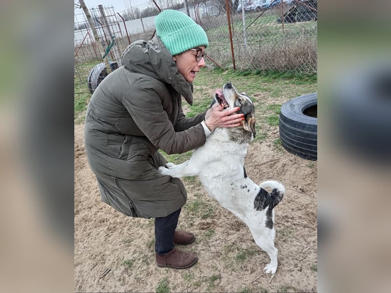 Twila - Wird es ein weiterer kalter Winter für sie?