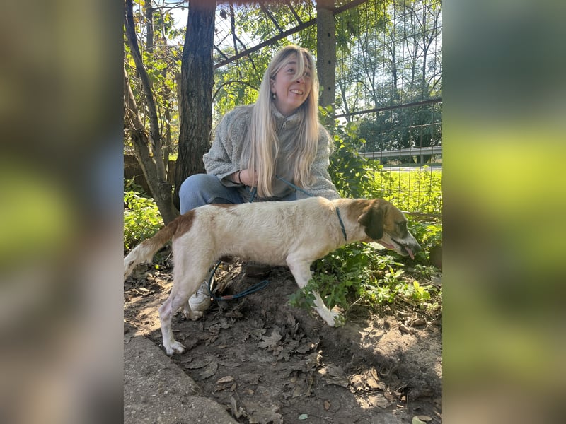 Bounty sucht ein zu Hause