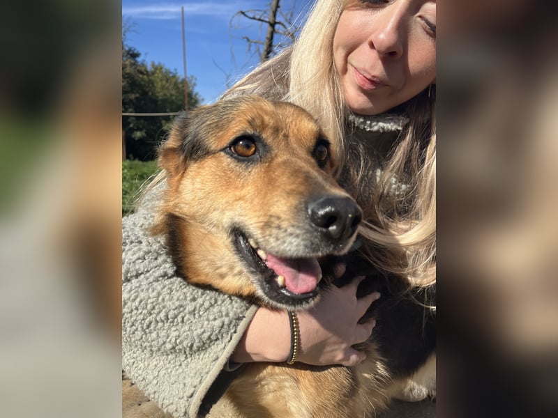 Rubina sucht ihren Menschen