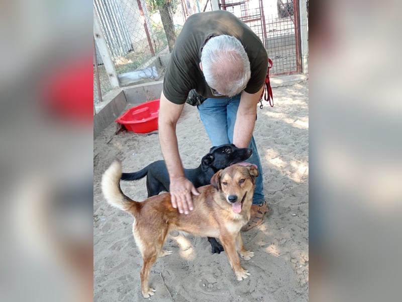 Nimer möchte endlich ankommen