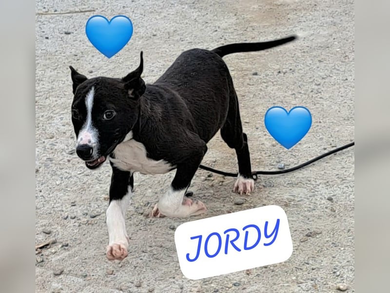 Jordy und seine Geschwister möchten Rumänien schnell verlassen