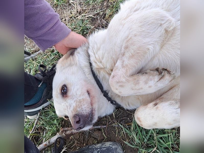 Ralf wartet seit 4 J. auf seine Ausreise aus Rumänien