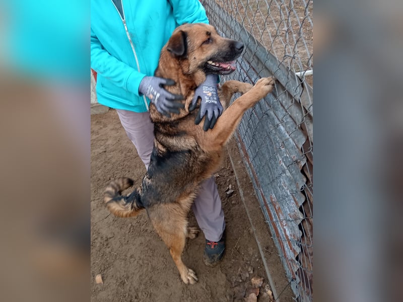 Mery wartet jeden Tag auf ihr Glück