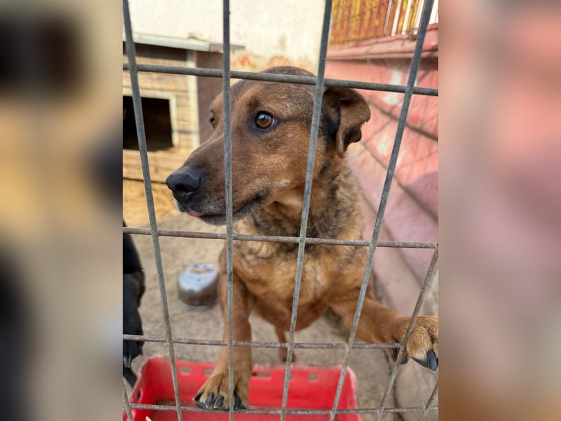 Férko möchte zeigen, was in ihm steckt