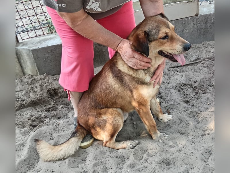 Nimer möchte endlich ankommen