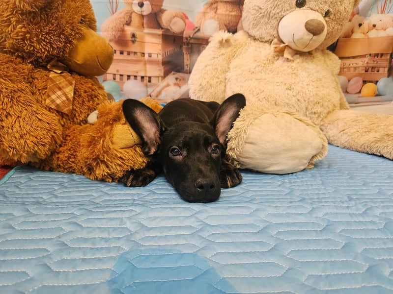 Frederico sucht einen Sportpartner