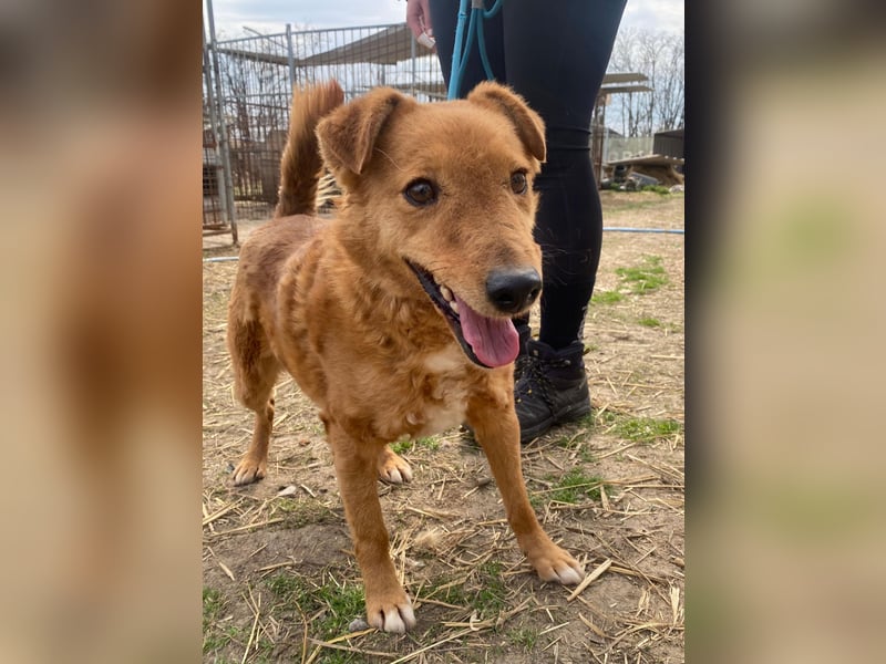 Kajla möchte endlich glücklich sein