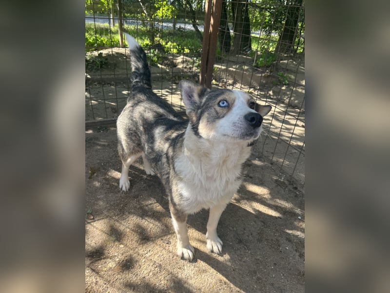 Lia - will dein Herz gewinnen!