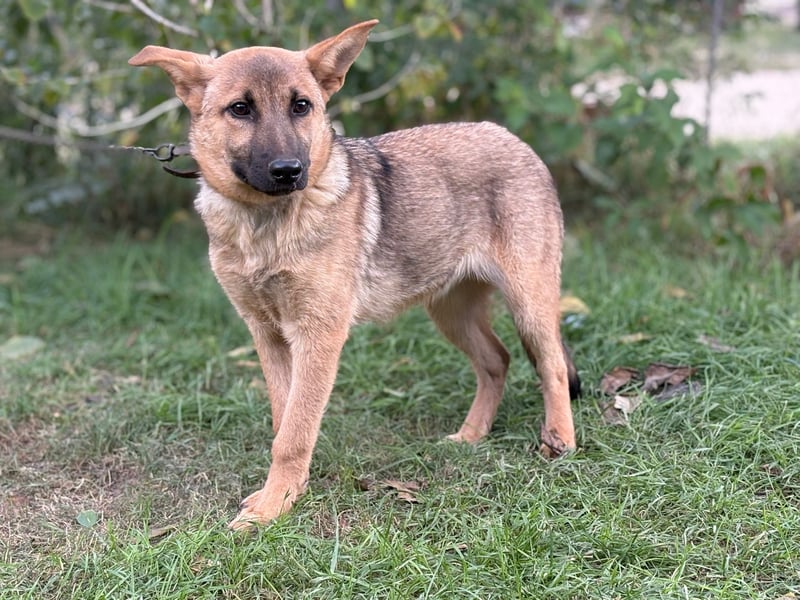 Lita träumt von einem eigenen Zuhause