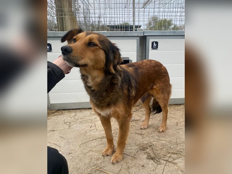 Fiona möchte endlich glücklich sein