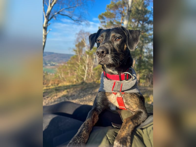 Aktive Pina wartet in 52385 Nideggen auf ihr Happy End!