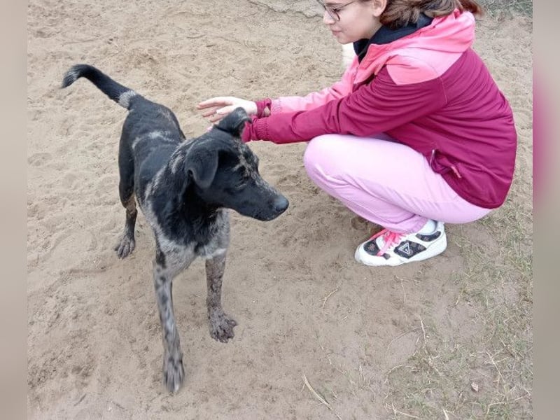 Zecco sucht einen warmen Platz