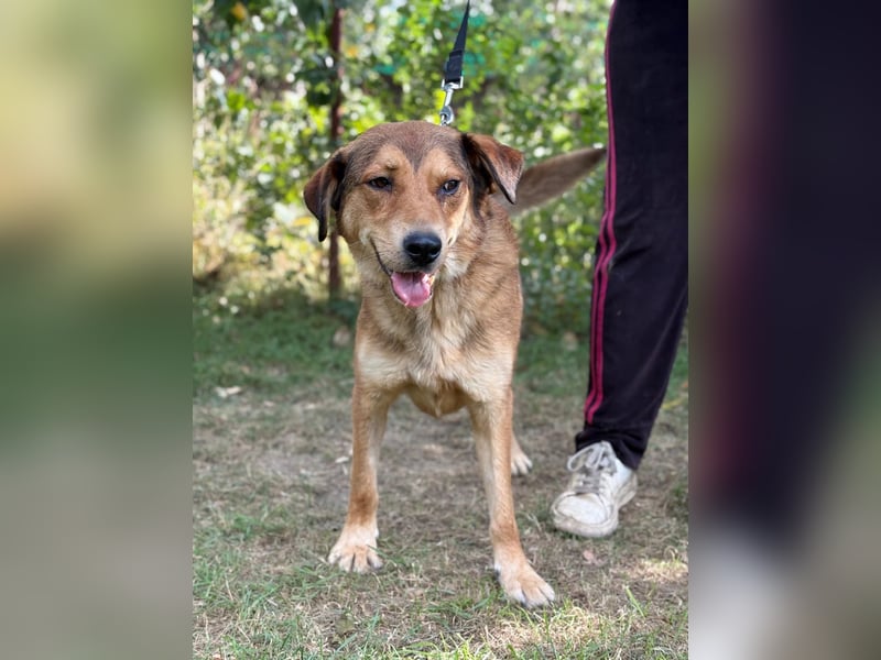 Nimer möchte endlich ankommen