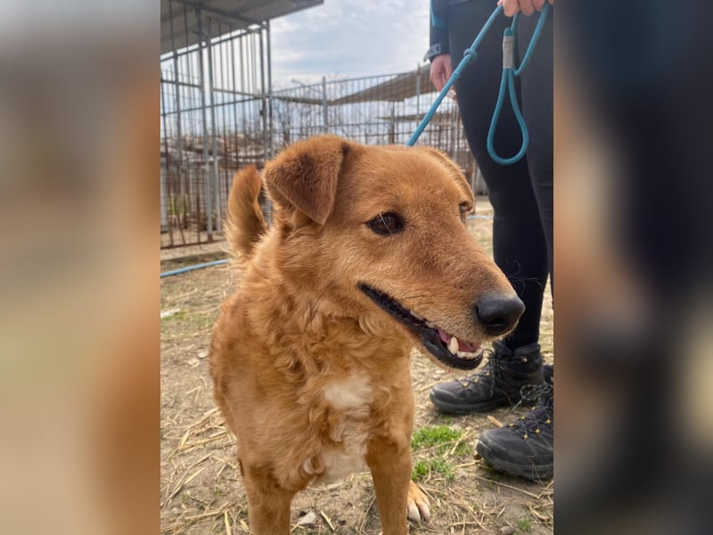 Kajla möchte endlich glücklich sein