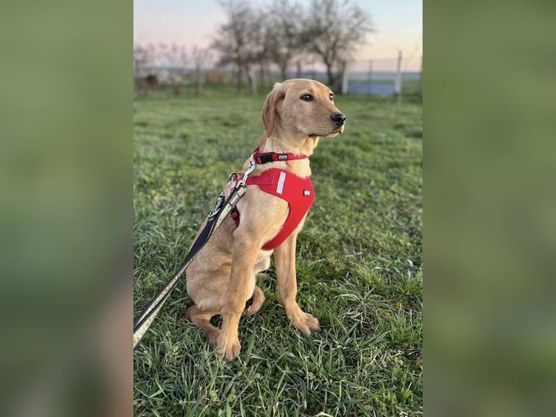 Charlotte sucht ein Herz, das sie liebt