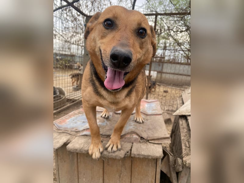 Zengö wartet auf ihr Happy End