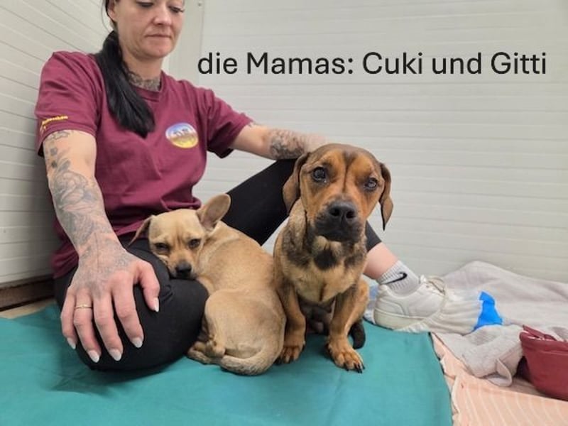 Frederico sucht einen Sportpartner
