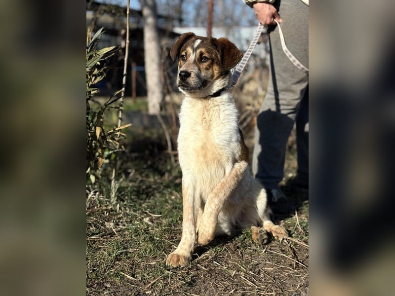 Eliot sucht seine Herzensmenschen