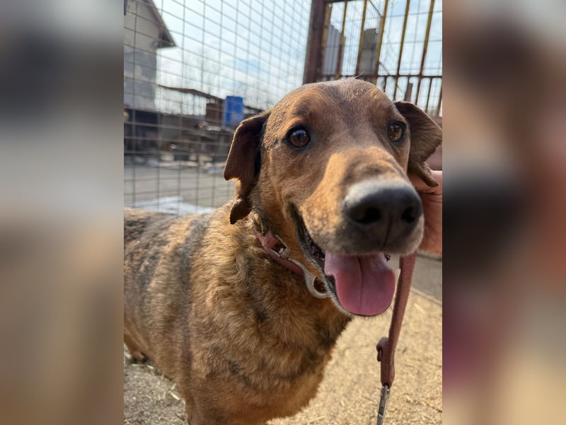 Férko möchte zeigen, was in ihm steckt